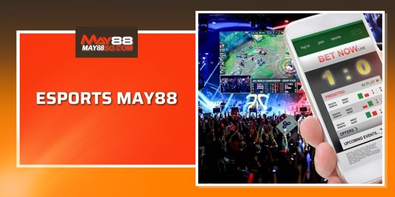 Esports May88 - Cá Cược Thể Thao Điện Tử Kịch Tính